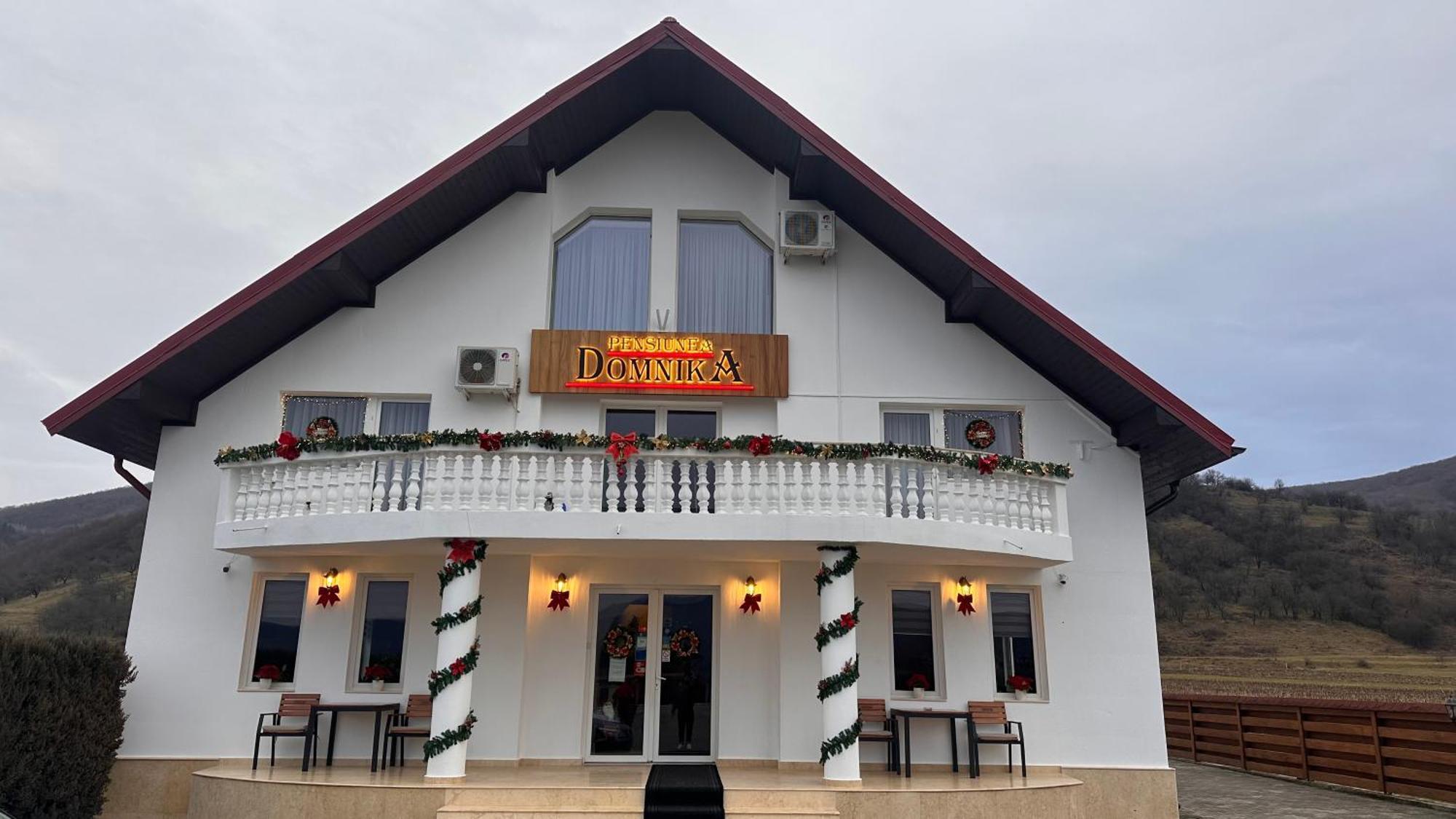 Pensiunea Domnika Dej Exterior foto